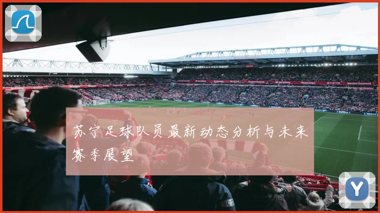 苏宁足球队员最新动态分析与未来赛季展望