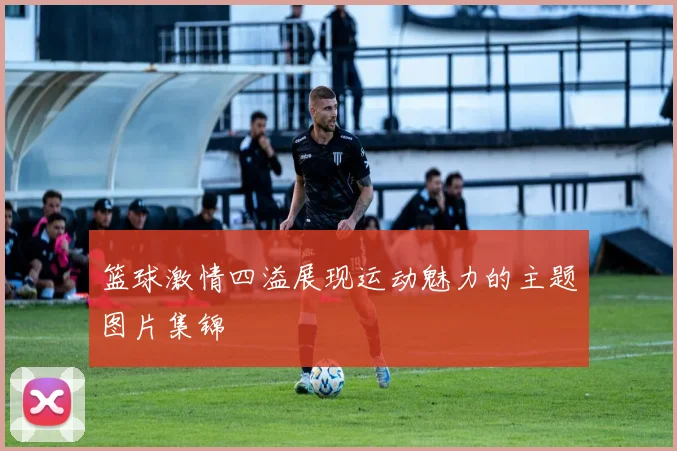 篮球激情四溢展现运动魅力的主题图片集锦