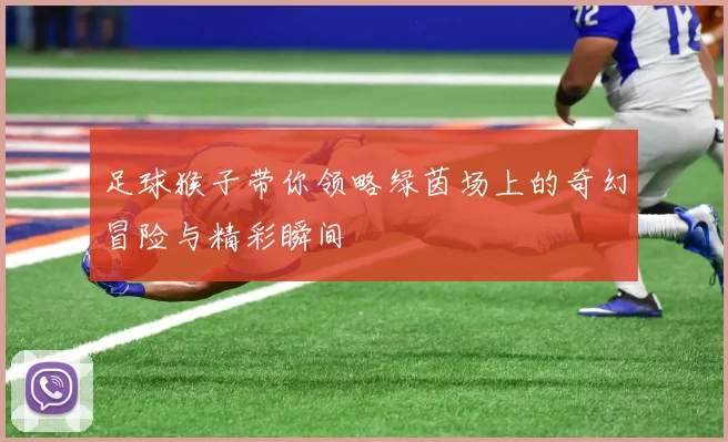 足球猴子带你领略绿茵场上的奇幻冒险与精彩瞬间