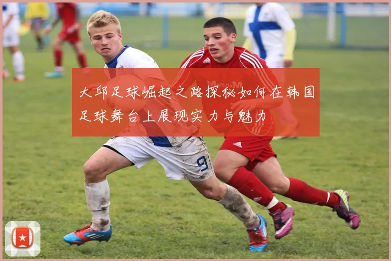 大邱足球崛起之路探秘如何在韩国足球舞台上展现实力与魅力